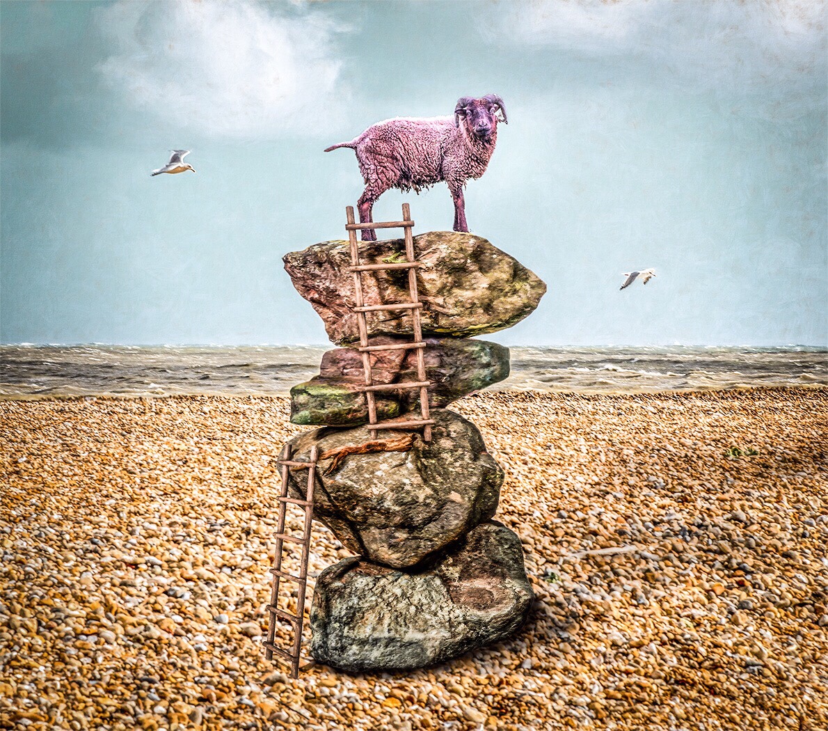 Ram on the Rocks – Mixed Reality, UK
